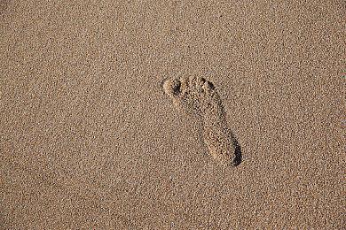 Don’t Nod正开发大型动作RPG 获腾讯投资